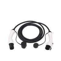 Type 2 to Type 1 cable